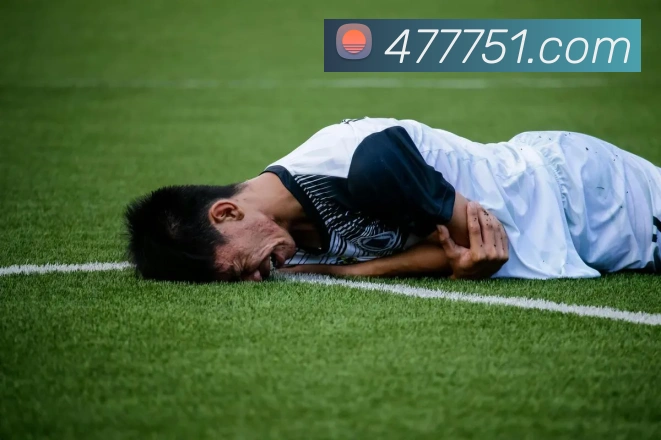 v8体育入口平台生态图